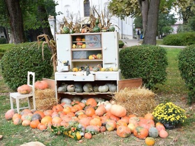 17. Bučijada u Ivanić Gradu 17. Bučijada u Ivanić Gradu