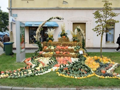 17. Bučijada u Ivanić Gradu