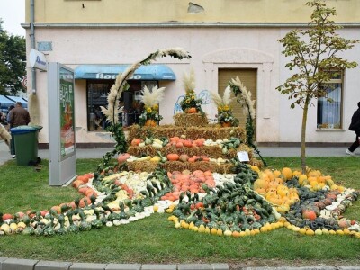 17. Bučijada u Ivanić Gradu 17. Bučijada u Ivanić Gradu