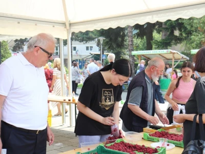 17. Međunarodni sajam malina Novi Travnik