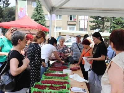 17. Međunarodni sajam malina Novi Travnik