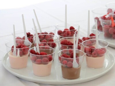 17. Međunarodni sajam malina Novi Travnik 17. Međunarodni sajam malina Novi Travnik