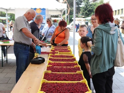 17. Međunarodni sajam malina Novi Travnik