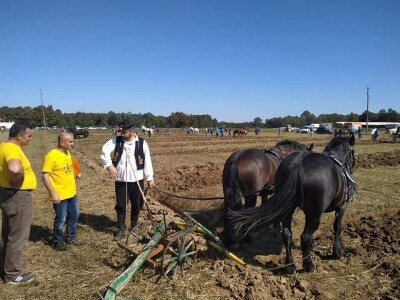17. Natjecanje u oranju Republike Hrvatske