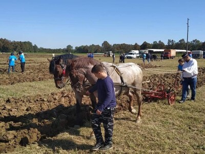17. Natjecanje u oranju Republike Hrvatske