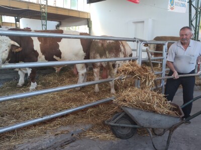 91. Međunarodni poljoprivredni sajam u Novom Sadu