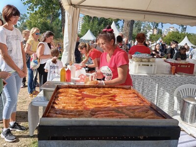 Festival Ukusi Vojvodine 2024.