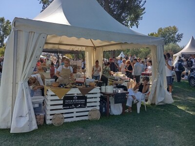 Festival Ukusi Vojvodine 2024.