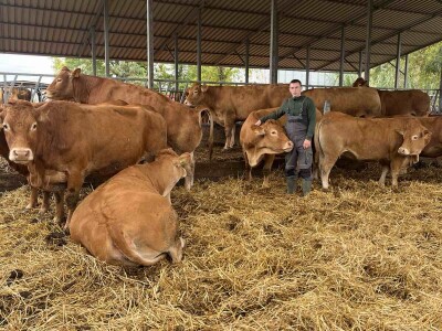 Antonio Kiš, Radenko Jeremić