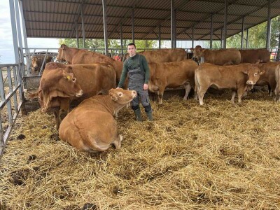 Antonio Kiš, Radenko Jeremić