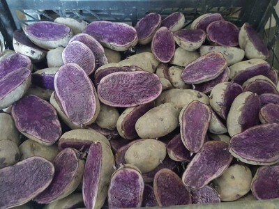 Polovice plavog krumpira