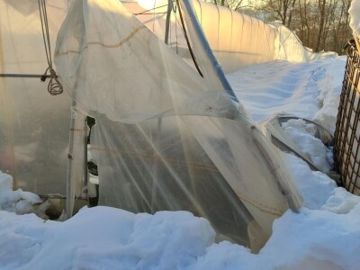 Polomljeni plastenici