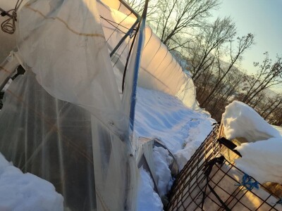 Polomljeni plastenici