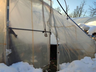 Polomljeni plastenici