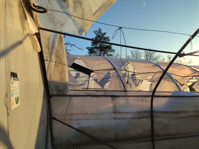 Polomljeni plastenici