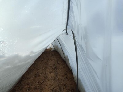 Polomljeni plastenici