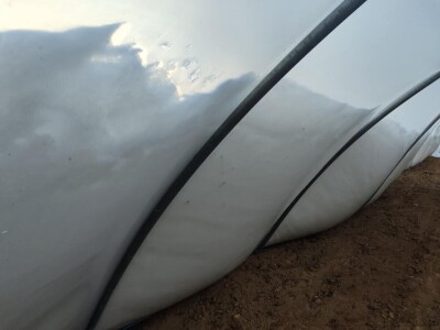 Polomljeni plastenici