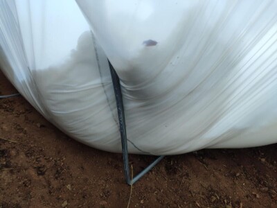 Polomljeni plastenici