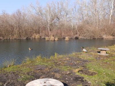Jezero u Vognju Jezero u Vognju