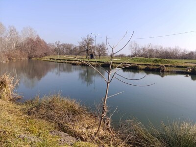Jezero u Vognju Jezero u Vognju