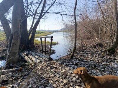 Jezero u Vognju Jezero u Vognju