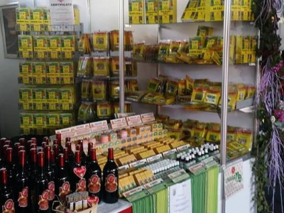 Šarolika paleta bilja