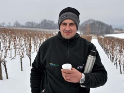 Ledena berba i kod vrhunskog enologa Ivice Peraka