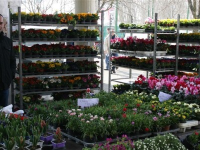 18. Osječki proljetni sajam