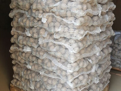 Krumpir spreman za isporuku