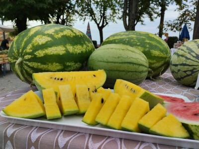 184. Zeleni Kastav 184. Zeleni Kastav