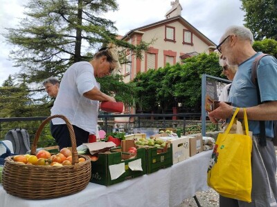 184. Zeleni Kastav 184. Zeleni Kastav