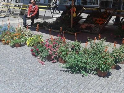 Cvjećarstvo Hadžić