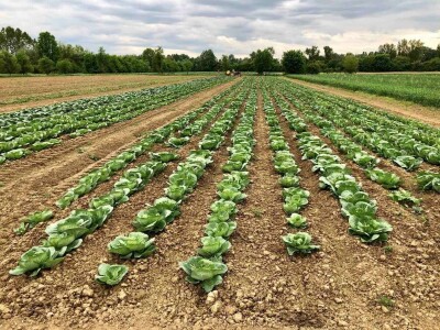 Općina Sikirevci otvara trgovinu domaćih proizvoda kako bi potakli registriranu proizvodnju