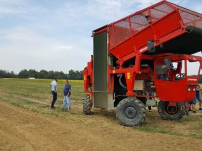 19. Dani polja duhana, Hrvatski duhani