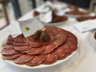 19. Otočka kulenijada - rezultati 19. Otočka kulenijada - rezultati