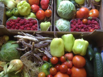 serif-dervisa-husidic-5 serif-dervisa-husidic-5