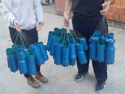 boce za štetne kukce