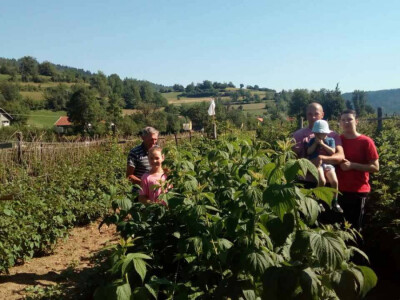 Malinarska obitelj Čaušević