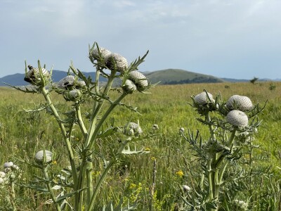 Tešija … ne objaviti još