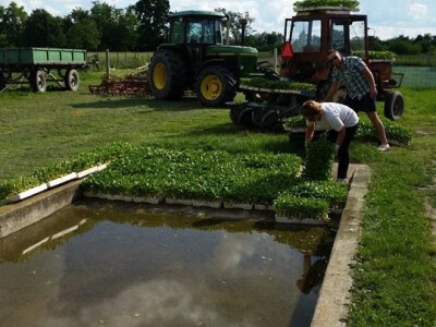 OPG Cetinić Frankos OPG Cetinić Frankos