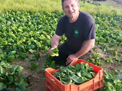 Senad Hujić