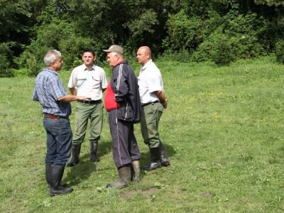 Pomor ribe u jakšičkom ribnjaku Pomor ribe u jakšičkom ribnjaku