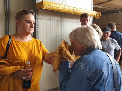 20. Dan polja duhana - Hrvatsk duhani