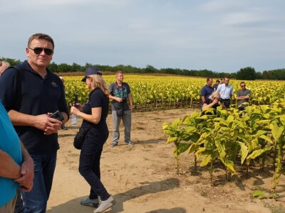 20. Dan polja duhana - Hrvatsk duhani