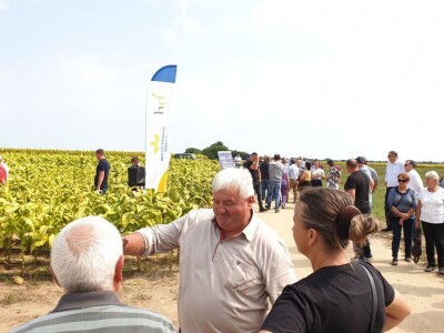 20. Dan polja duhana - Hrvatsk duhani