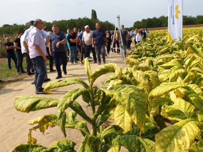 20. Dan polja duhana - Hrvatsk duhani