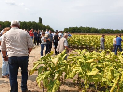 20. Dan polja duhana - Hrvatsk duhani