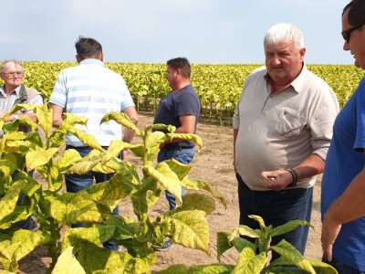 20. Dan polja duhana - Hrvatsk duhani