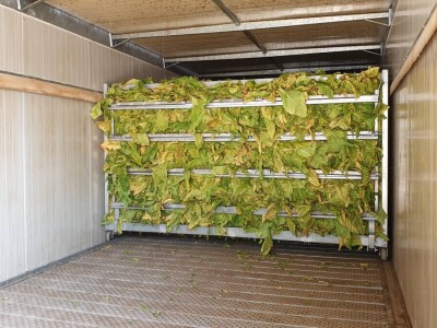 20. Dan polja duhana - Hrvatsk duhani