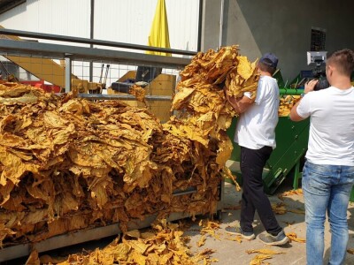 20. Dan polja duhana - Hrvatsk duhani